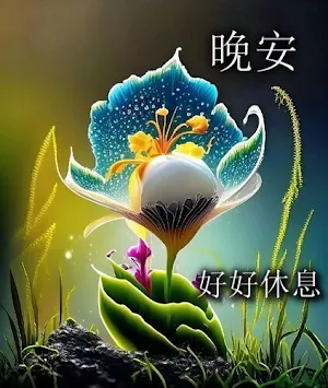晚安,早安 Screenshot 1