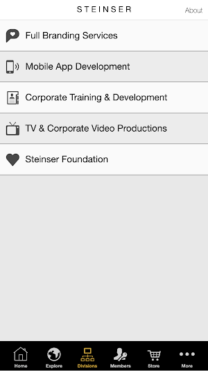 Steinser Group Screenshot 2
