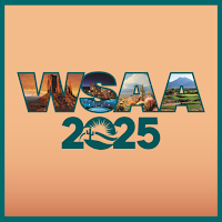 WSAA 2025