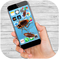 Cockroach Run on Screen