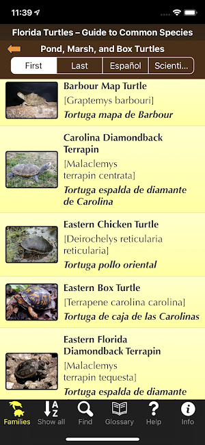 Florida Turtles Screenshot 2