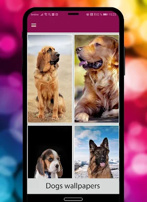 Dogs & puppies Wallpapers HD+ Screenshot 0