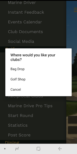 Marine Drive Golf Club Screenshot 2