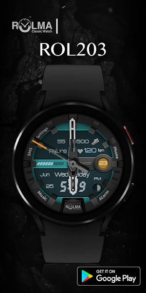 Rolma Rol203 Screenshot 3