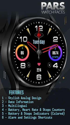 Pars Analog Loop Screenshot 3