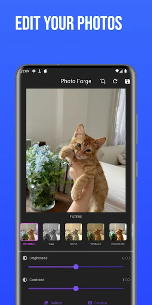 PhotoForge Screenshot 0