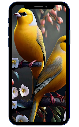 Bird Wallpapers Screenshot 3