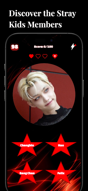 Stray Kids Challenge Screenshot 0