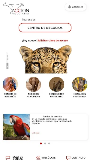 Centro de Negocios AF Screenshot 0