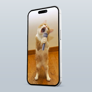 Sweet Cat Screenshot 3
