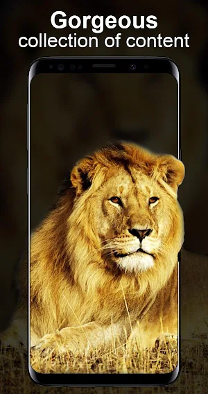 Live Wallpapers Unlimited Screenshot 3