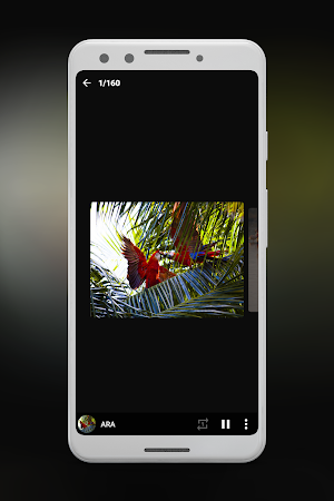 Animal Sounds Ringtones Screenshot 2
