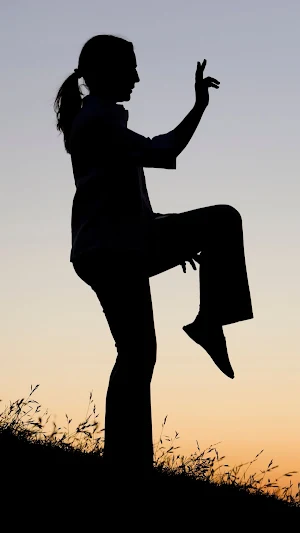 Tai Chi Wallpaper Screenshot 0
