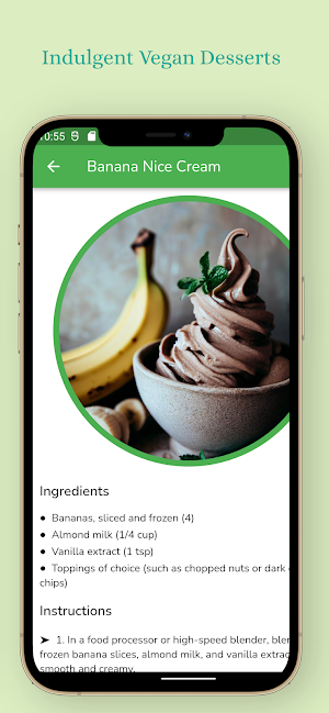 Vegan Recipes Screenshot 3