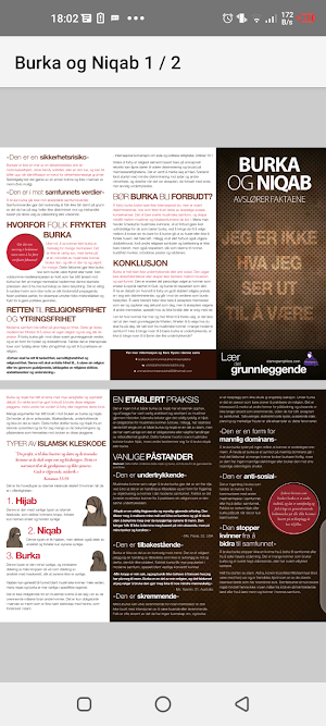 Burka og Niqab Screenshot 2