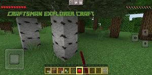 Craftsman Explorer 3D Craft Screenshot 3
