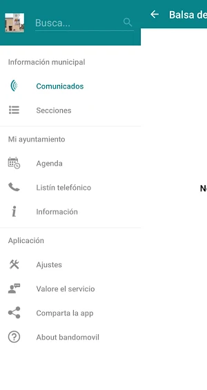 Balsa de Ves Informa Screenshot 0