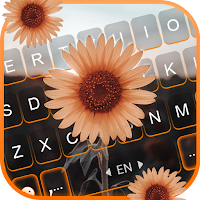 Beautiful Sunflower Keyboard Background