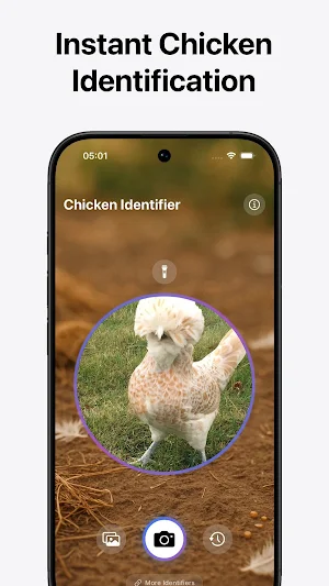 Chicken Identifier Screenshot 1
