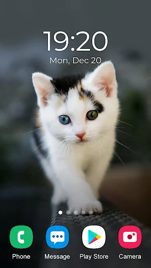Kitten Wallpaper 2023 Screenshot 3