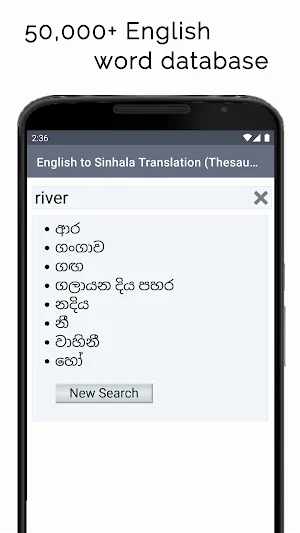 English to Sinhala Translation Screenshot 3