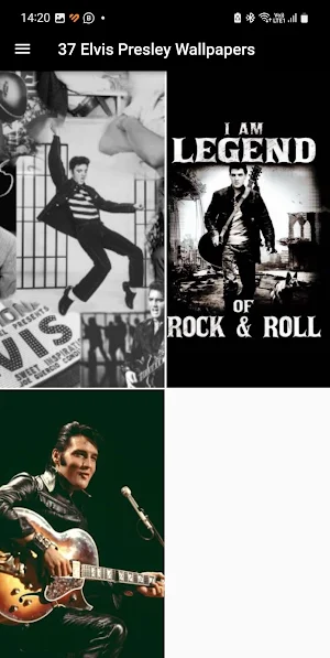 Elvis Presley HD Wallpapers Screenshot 1