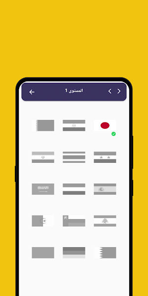 تحدي الجغرافيا - دول و عواصم Screenshot 3