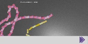 Snake Car.io Screenshot 1