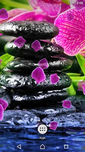Orchid Live Wallpaper Screenshot 2