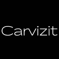 Carvizit