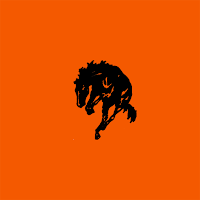 Frenchtown HS Broncs