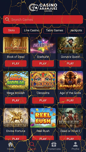 Casino Aranjuez Screenshot 3