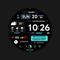 SamWatch Active 4