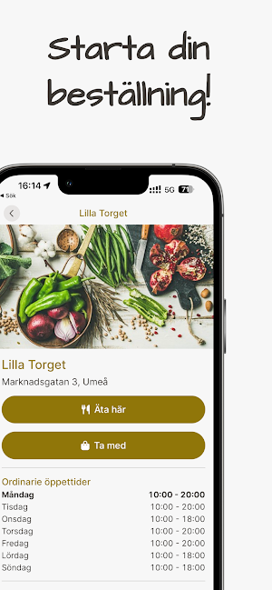 Lilla Torget Screenshot 1