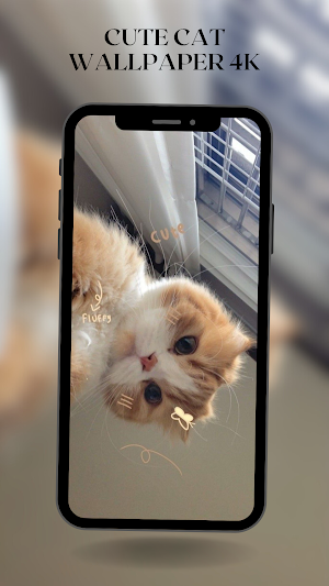 Cute Cat Wallpaper HD 4K Screenshot 1