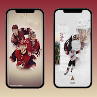 Arizona Coyotes Wallpapers 4K