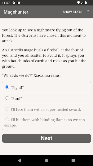 Magehunter: Phoenix Flame Screenshot 2