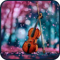 Violin Wallpapers