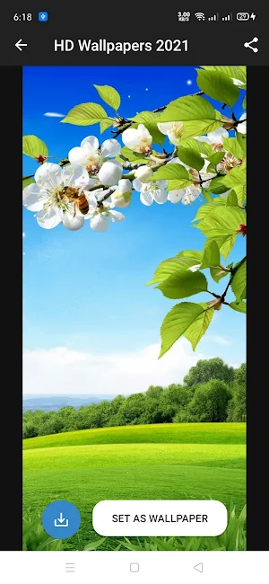 Hd Wallpapers Latest Screenshot 0