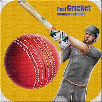 Real Cricket Champions Paradox