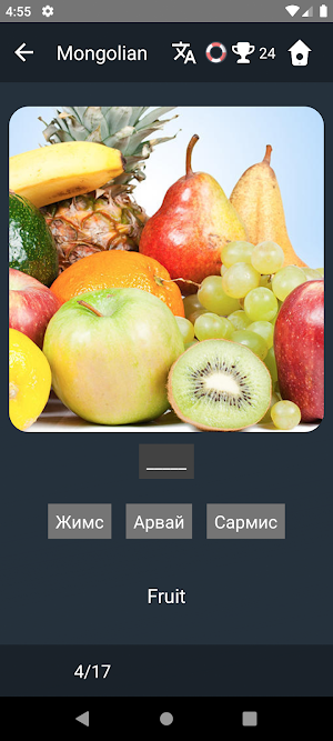 Mongolian Language Tests Screenshot 3