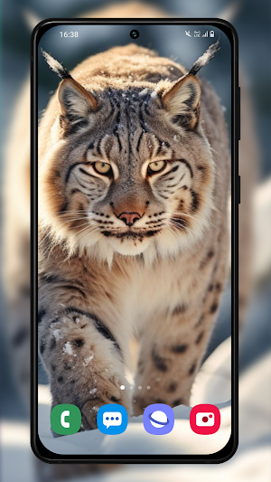 Wallpapers Without internet Screenshot 2