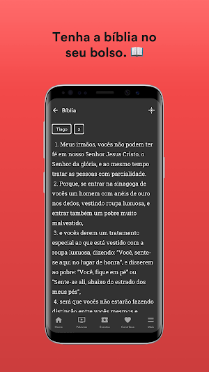 IBR Fundão Screenshot 2