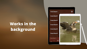 Goose Sounds - Goose hunting calls Screenshot 3