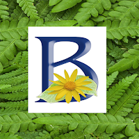 Botany 2024