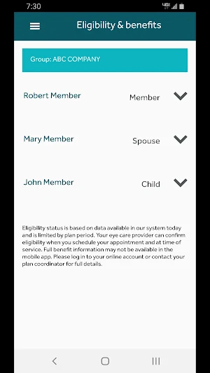 Davis Vision Screenshot 3