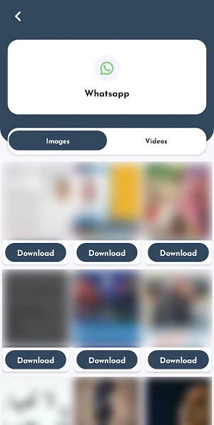 FoxStatus Saver Screenshot 2