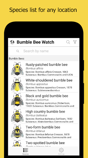 Bumble Bee Watch Screenshot 0