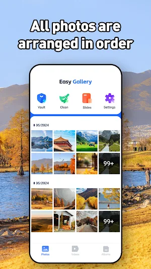 Easy Gallery:Vault&Slides Screenshot 0