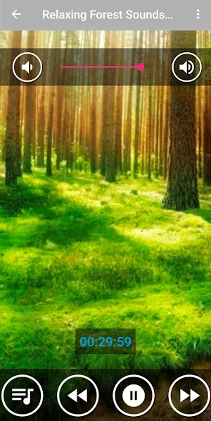 Forest and Nature Sounds for Relaxation Screenshot 0